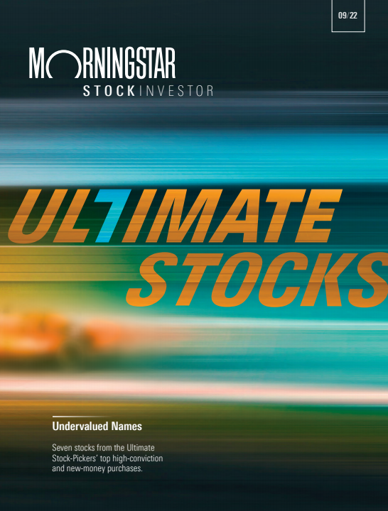 Morningstar StockInvestor Image